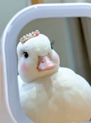 AigooMyLengthyParagraphs