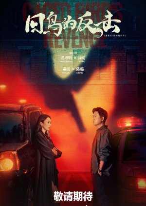 Caged Bird's Revenge poster