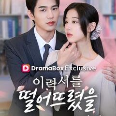 The CEO's Secret Lover (2026)