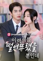 The CEO's Secret Lover Korean Drama(2026) photo