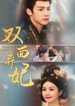 Rise of the Forsaken Consort Chinese Drama(2025) photo