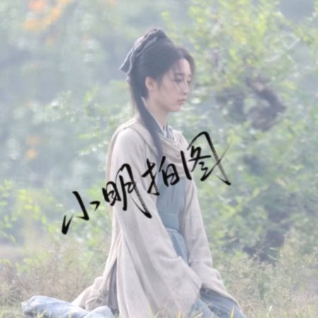 The Road to Splendor ()