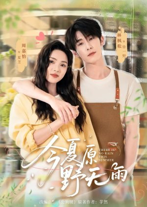 There Is No Rain This Summer (2025) poster