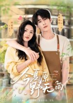 There Is No Rain This Summer Chinese Drama(2025) photo