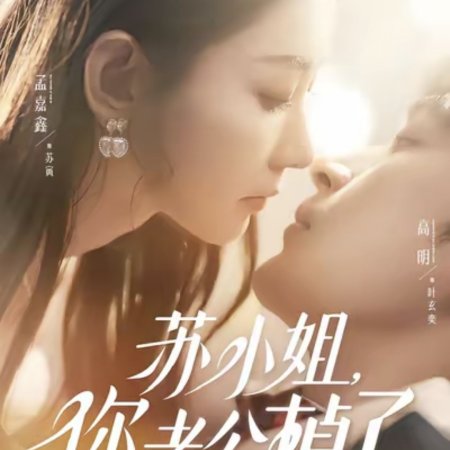 Su Xiao Jie, Ni Lao Gong Diao Le (2025)