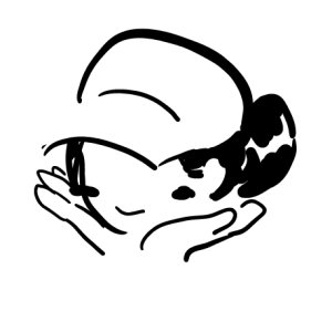 soap_a