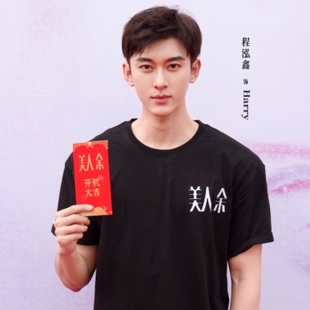 The Vanishing Beauty ()