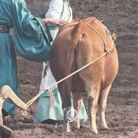 Where the Mask Ends ()