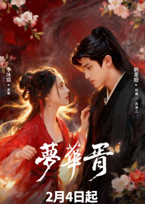 Illusory Dream poster