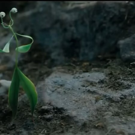 The Unclouded Soul (2025)