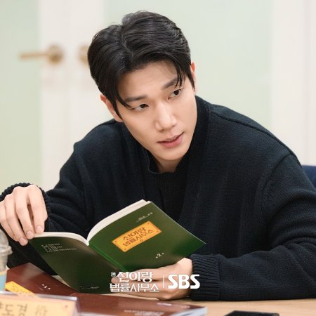 Phantom Lawyer (2026)