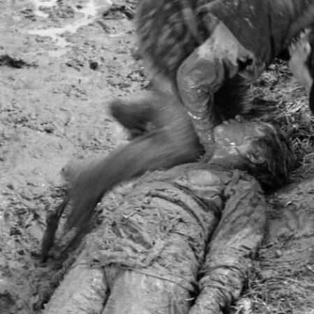 A Story from Echigo (1964)