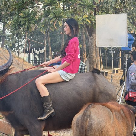 Hometown Romance (2026)