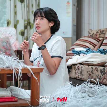 Undercover Miss Hong (2026)