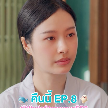 Whale Store xoxo (2025)