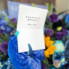 Qing Qing Zi Jin Chinese Drama(2025) photo