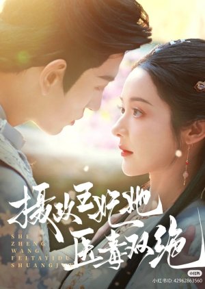 She Zheng Wang Fei Ta Yi Du Shuang Jue poster