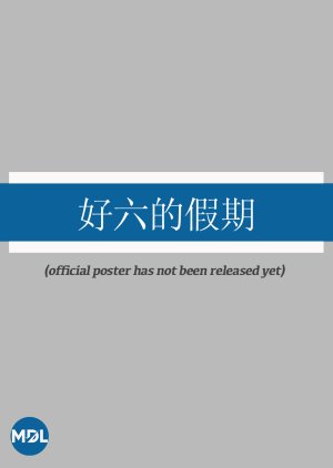 Hao Liu De Jia Qi () poster