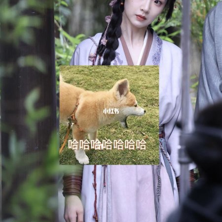 Liao Zhai ()
