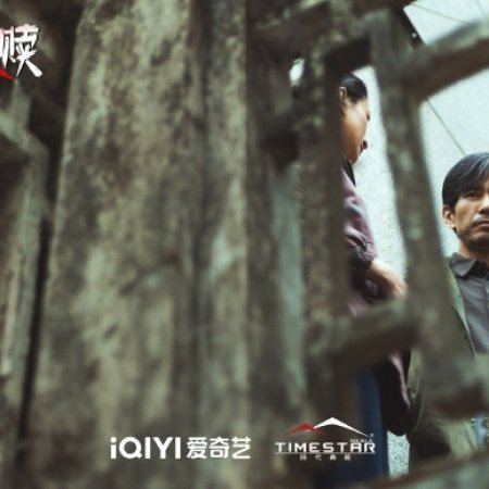 The Perfect Suspect (2025)