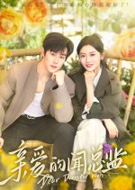 Dear Director Wen Chinese Drama(2025) photo