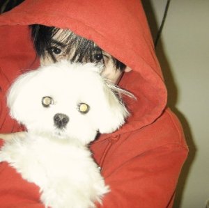 Aussie.Jakey