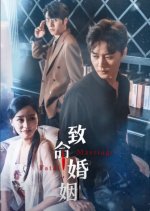 Fatal Marriage Chinese Drama(2023) photo