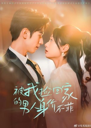 Bei Wo Jian Hui Jia De Nan You Shen Jia Bu Fei (2025) poster