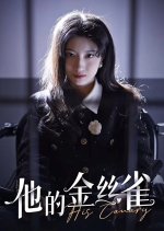 His Canary Chinese Drama(2024) photo