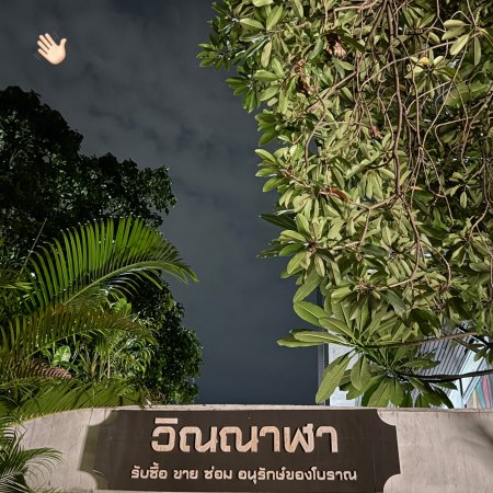 Revamp the Undead Story (2025)