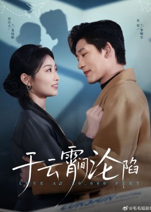 Love at 30,000 Feet (2025) poster