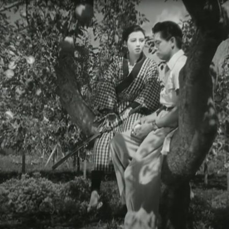 Conduct Report on Professor Ishinaka (1950)