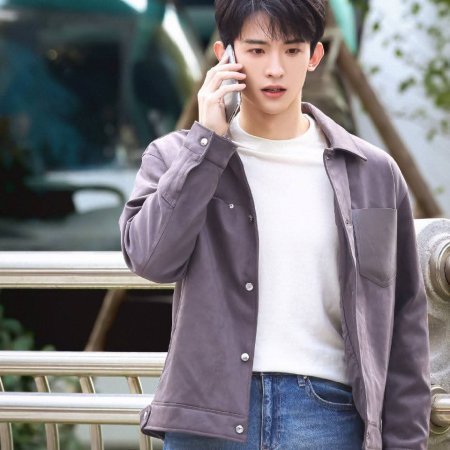 The Vanishing Beauty ()