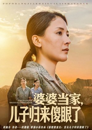 Po Po Dang Jia, Er Zi Gui Lai Sha Yan Le (2025) poster