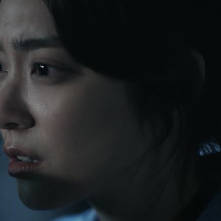 Had I Not Seen the Sun (2025)