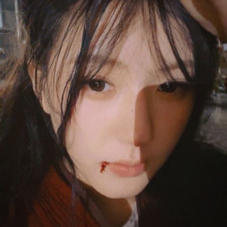 Zhao Lu Si