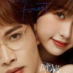 A Romance of the Little Forest Chinese Drama photo