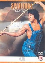 Spiritual Kung Fu Hong Kong Movie photo