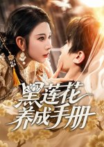 Hei Lian Hua Yang Cheng Shou Ce Chinese Drama(2025) photo