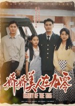 Beauty of the 1996 Chinese Drama(2025) photo
