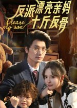 Fan Pai Piao Liang Qin Ma Shi Jin Fan Gu Chinese Drama(2025) photo