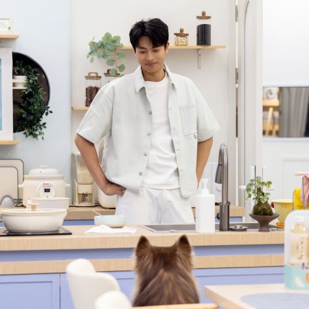 Heart Signal Season 8 (2025)
