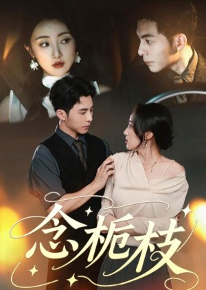 Nian Zhi Zhi (2025) poster