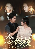 Nian Zhi Zhi Chinese Drama(2025) photo