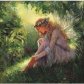 Fairy
