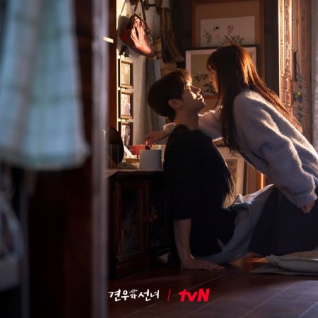 Head over Heels (2025)