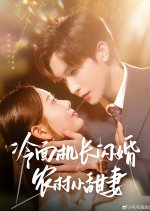 Leng Mian Ji Zhang Shan Hun Nong Cun Xiao Tian Qi Chinese Drama(2025) photo