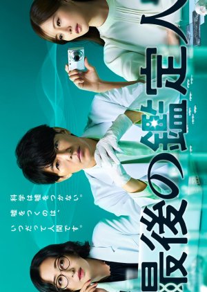 Last-Resort Investigator (2025) poster