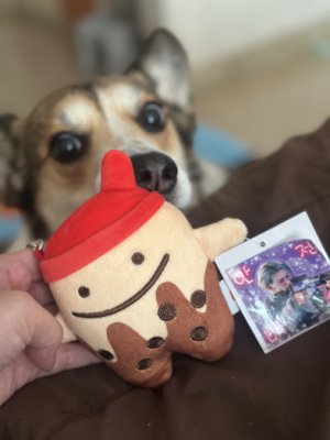 Peanut_Bunny