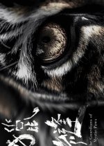 The Guardians of Mystic Paws